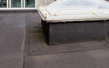 disadvantages of The Camp flat roofs